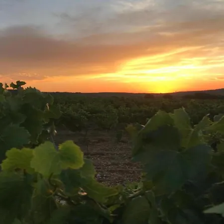 Villa Beautiful With Private Pool