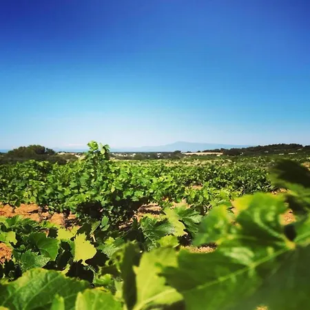 Beautiful With Private Pool * Tavel