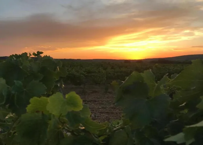 Vila Beautiful With Private Pool