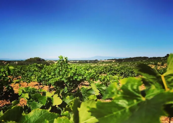 Beautiful With Private Pool * Tavel